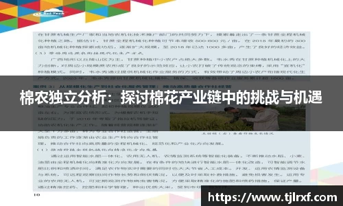 xc体育棉农独立分析：探讨棉花产业链中的挑战与机遇